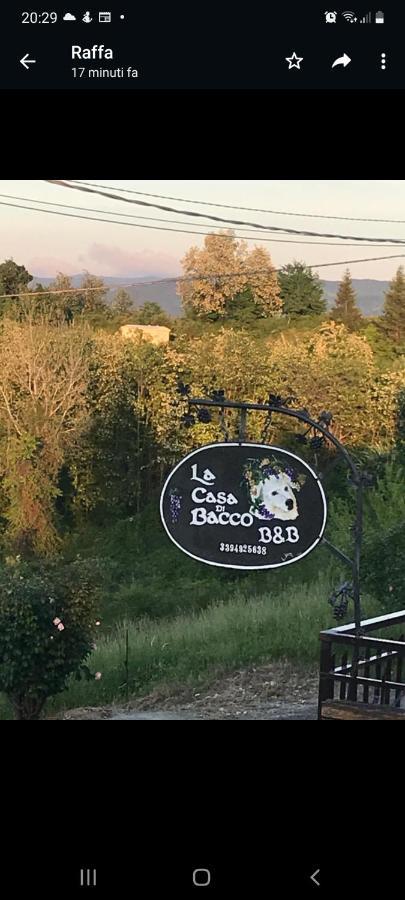 La Casa Di Bacco B&B Lerma Екстер'єр фото