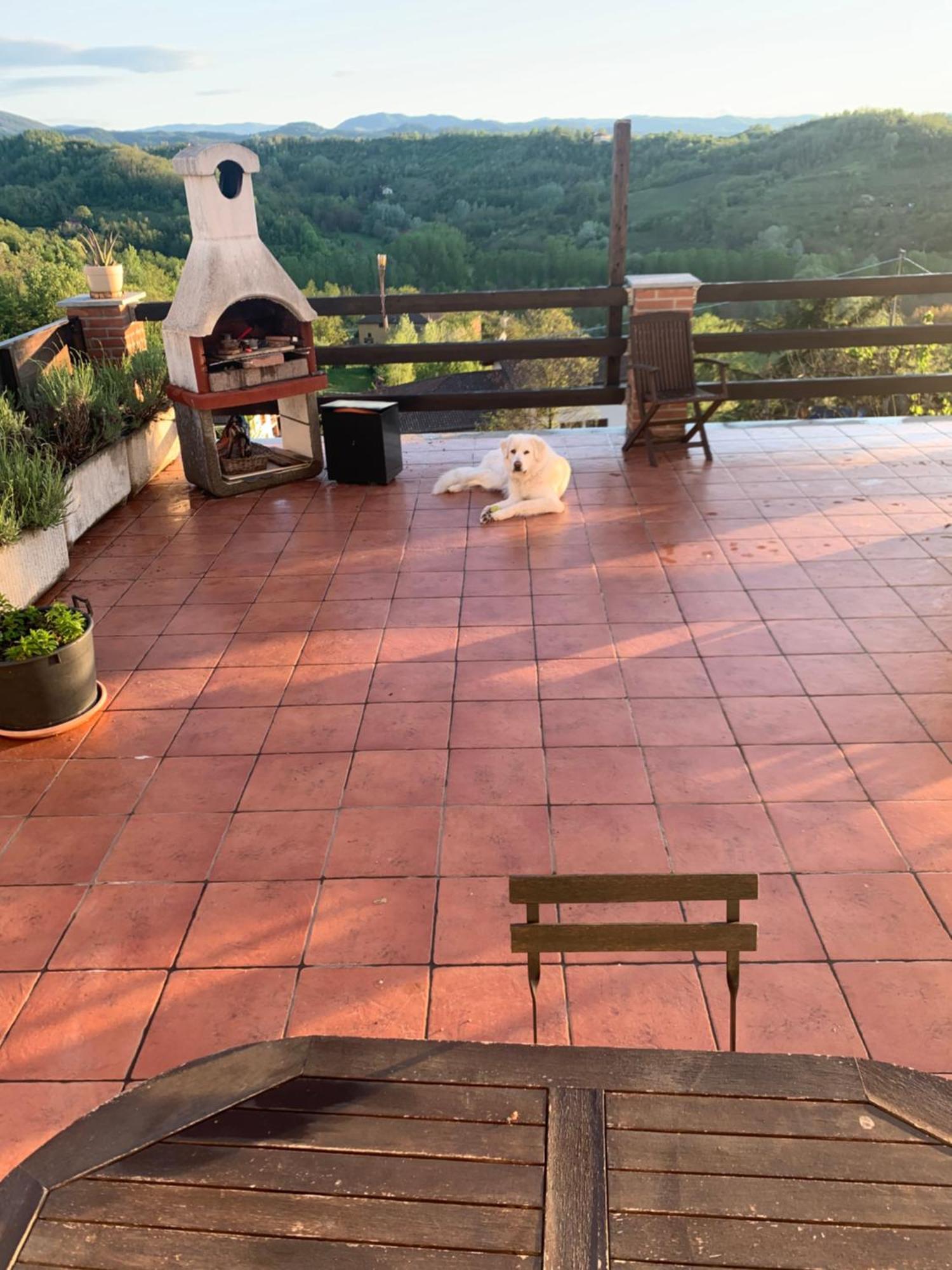 La Casa Di Bacco B&B Lerma Екстер'єр фото